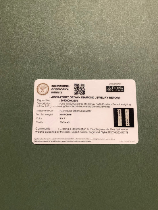 Chic Aurora Lab Diamond Earring