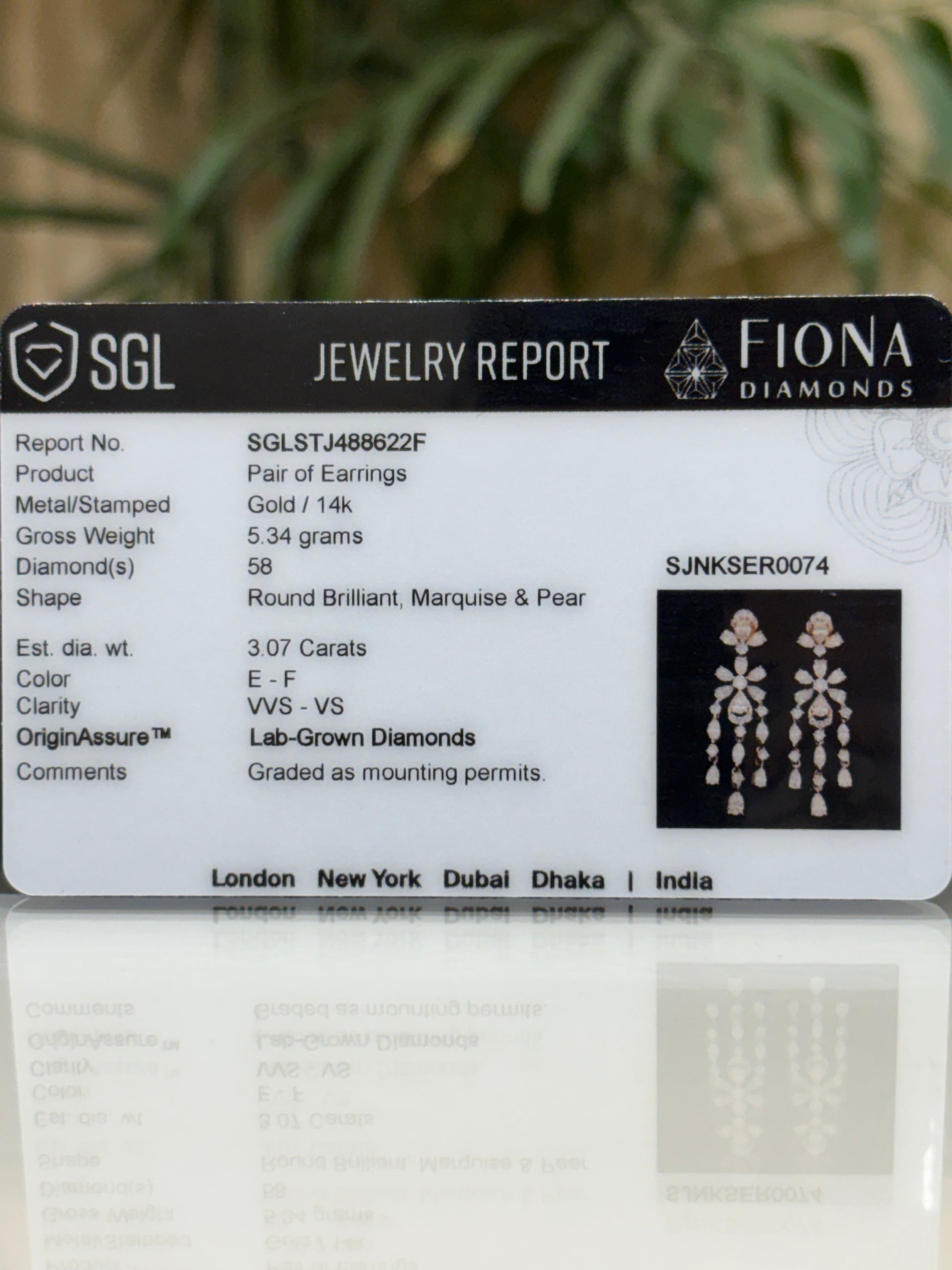 Wild Eternity Lab Diamond Earring - Fiona Diamonds - Fiona Diamonds