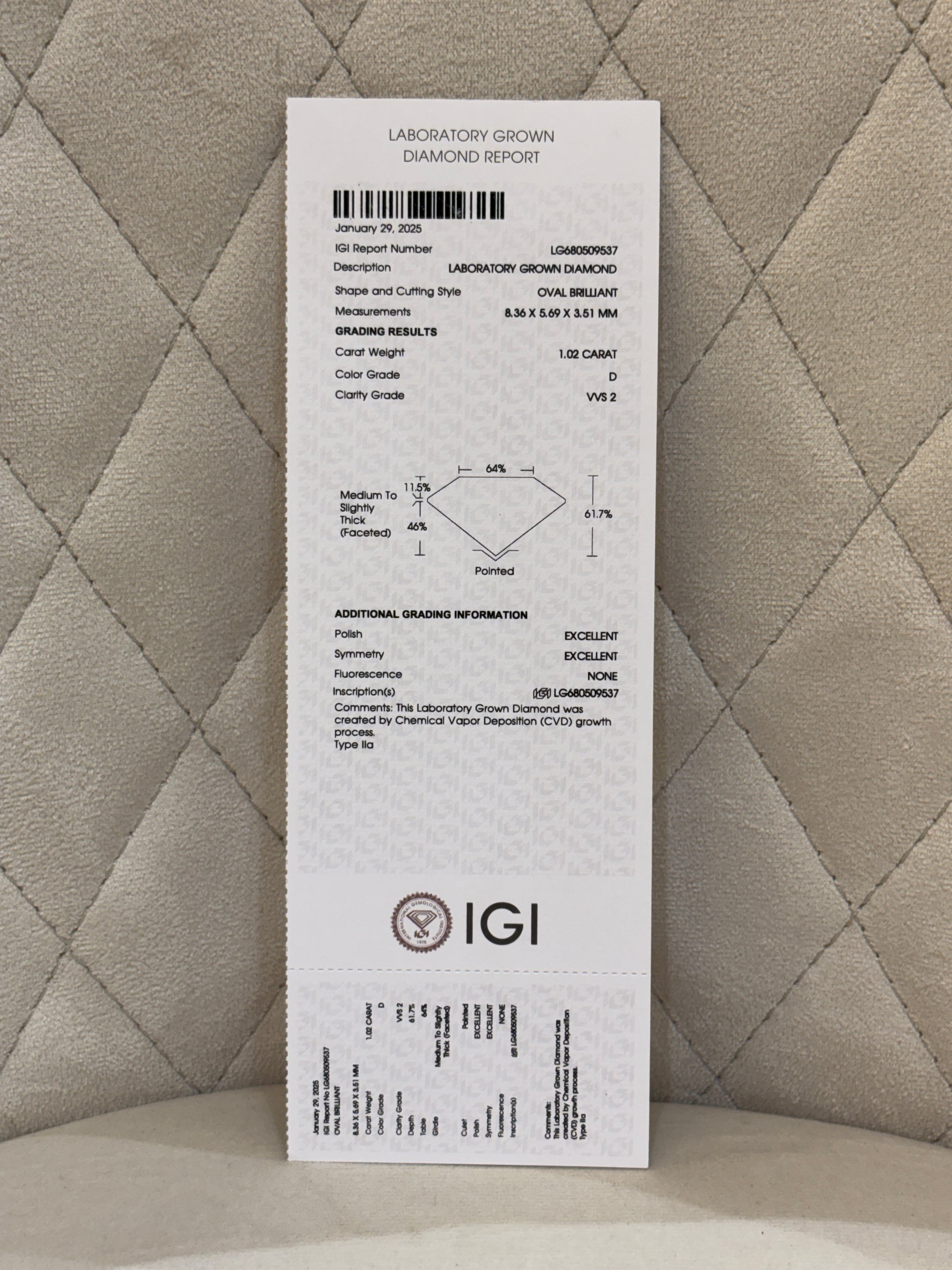 Eternal Thread Lab Diamond Earring - Fiona Diamonds - Fiona Diamonds