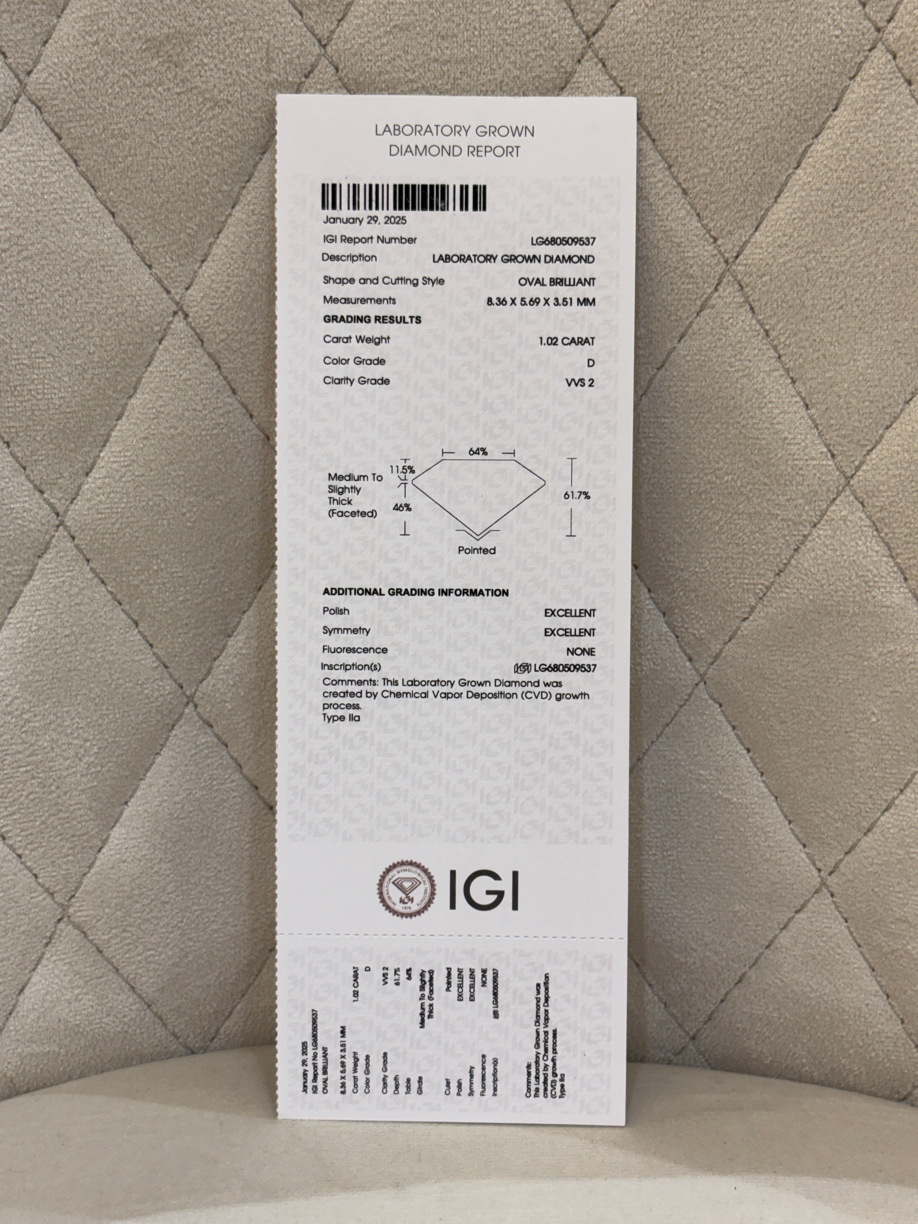 Eternal Thread Lab Diamond Earring - Fiona Diamonds - Fiona Diamonds