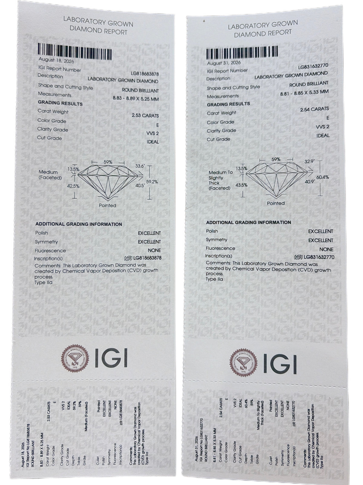 Gaia Arc Lab Diamond Earring