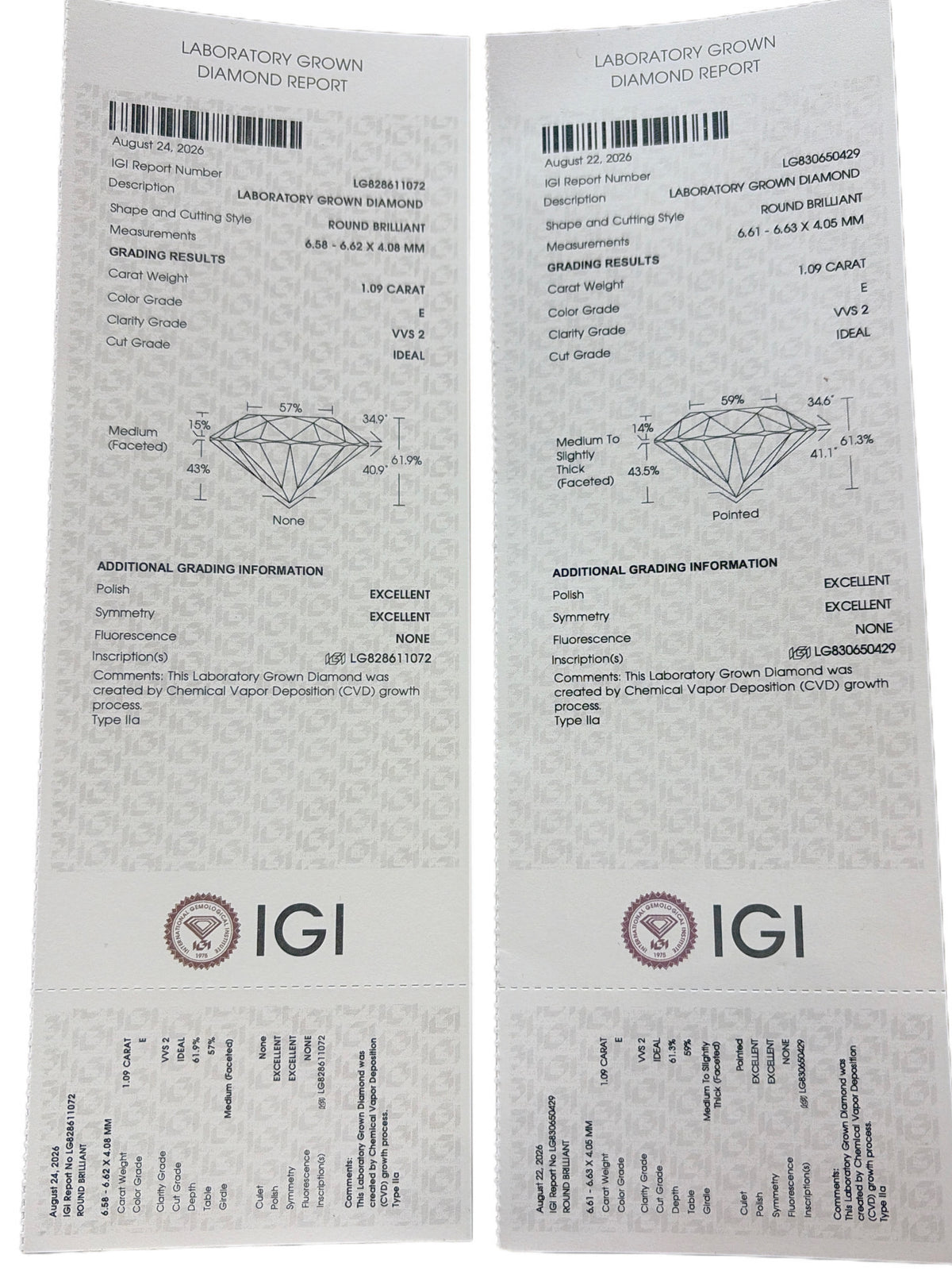 Iris Arc Lab Diamond Earring