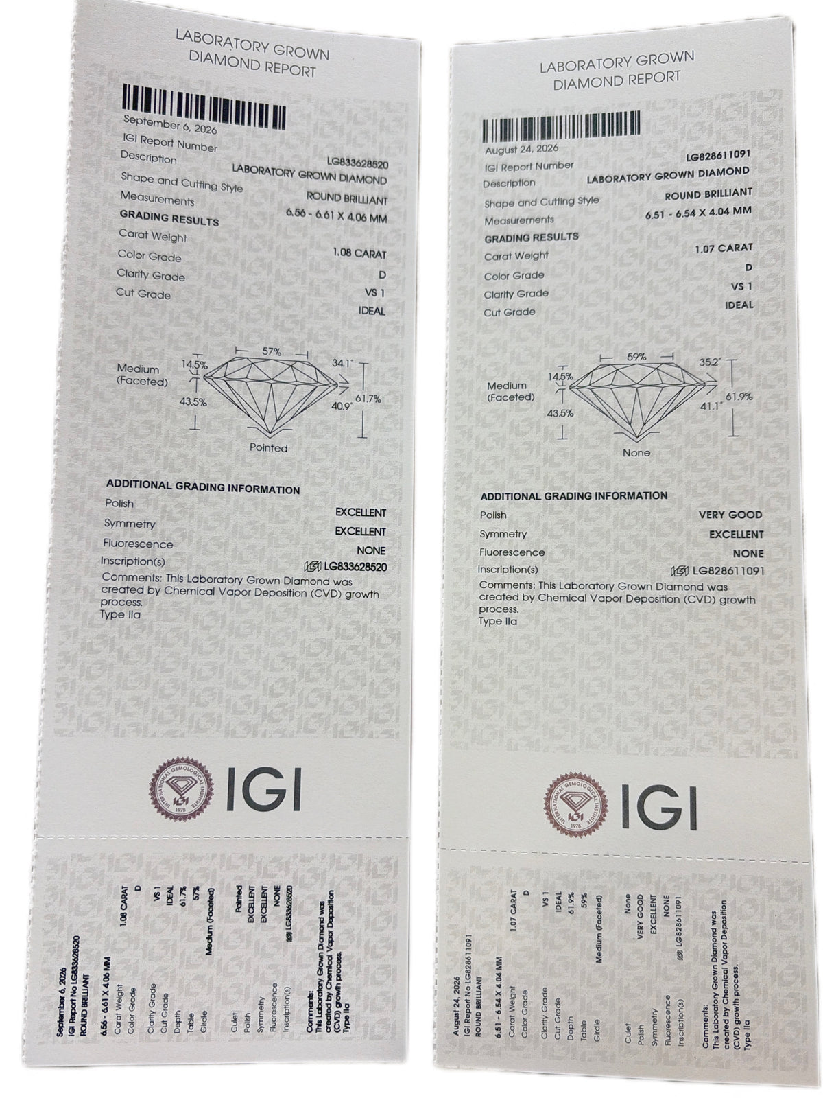 Sage Arc Lab Diamond Earring