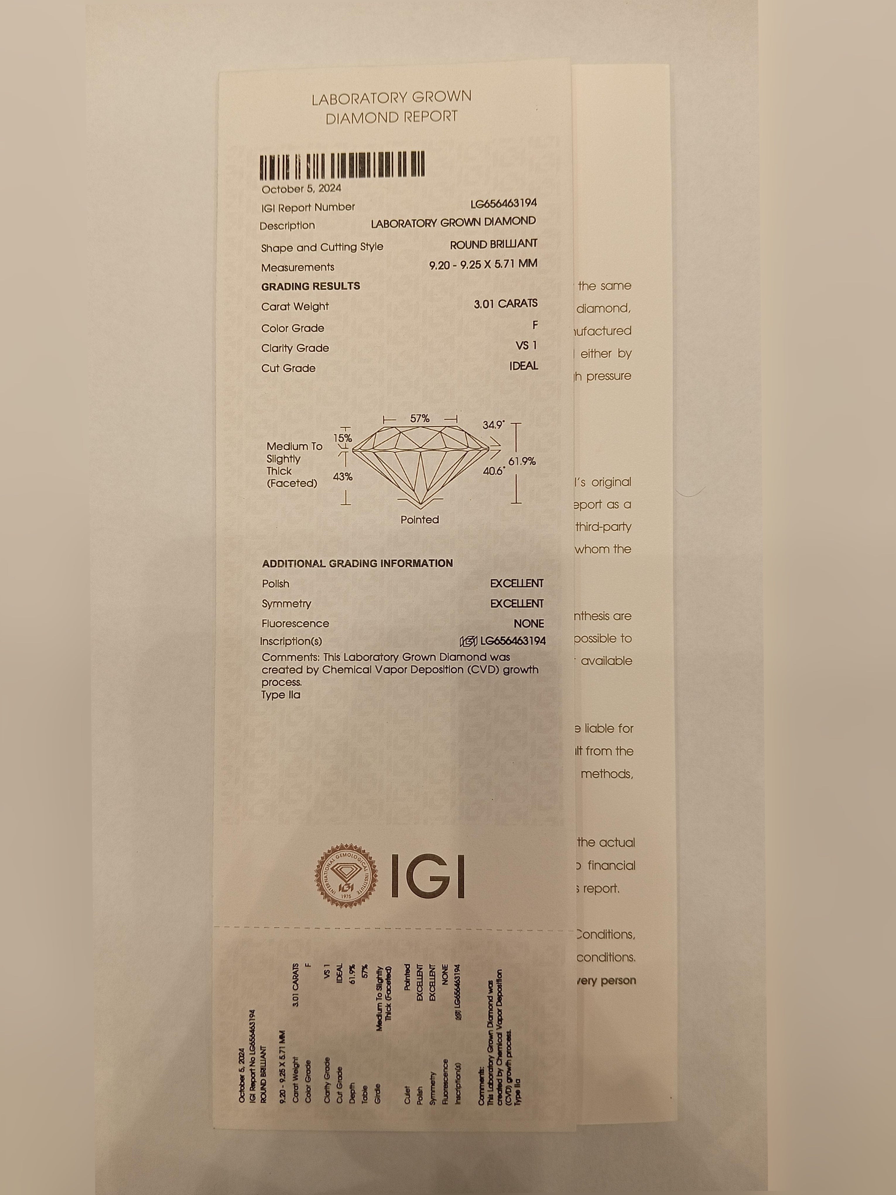 Chunxiao 3ct Lab Diamond Earring – Serene & Stylish