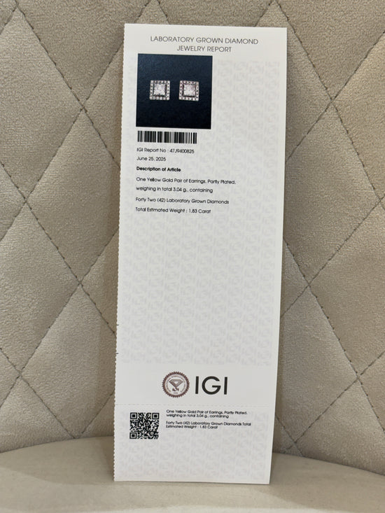 Hidden Oath Lab Diamond Earring - Fiona Diamonds - Fiona Diamonds