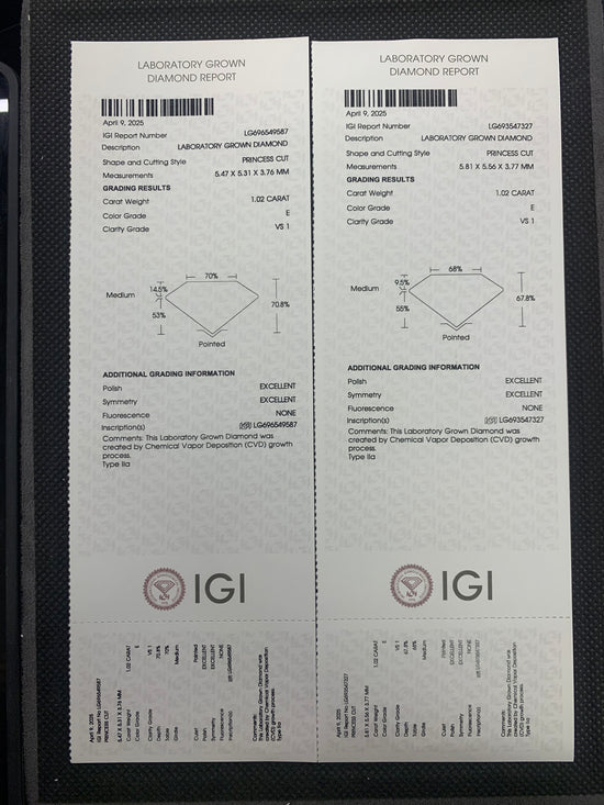 Rhea Bloom Lab Diamond Earring