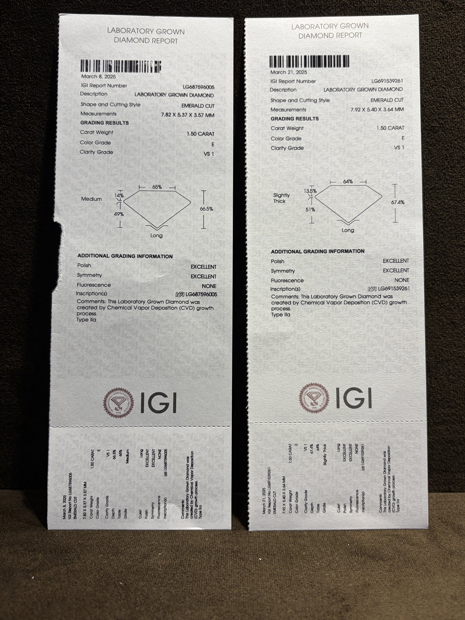 Wild Echo Lab Diamond Earring