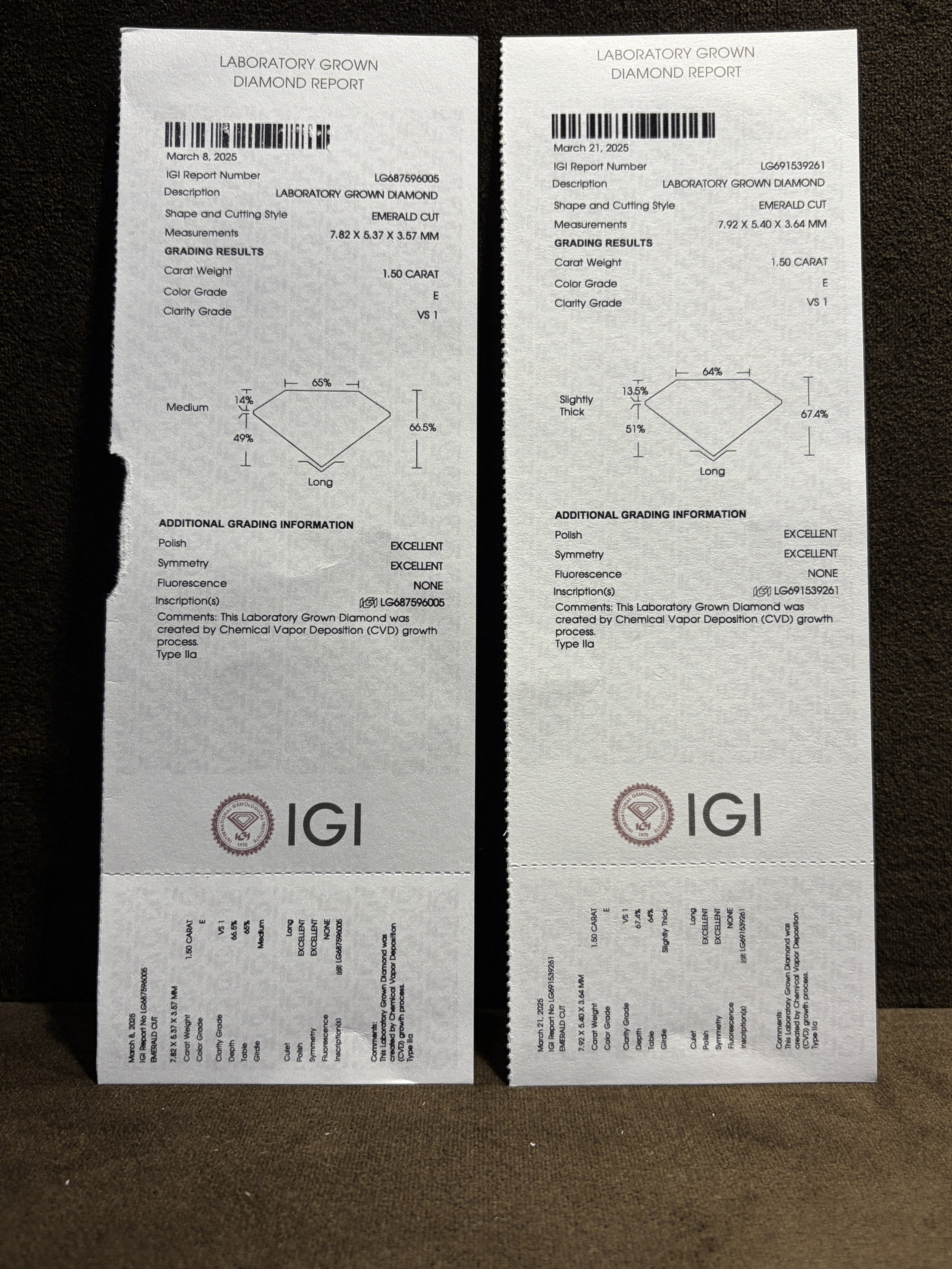 Wild Echo Lab Diamond Earring