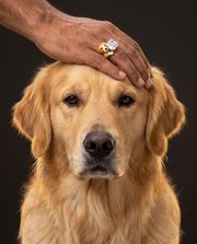 Alpha Paw Lab Diamond Ring