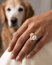 Golden Snuggle Lab Diamond Ring