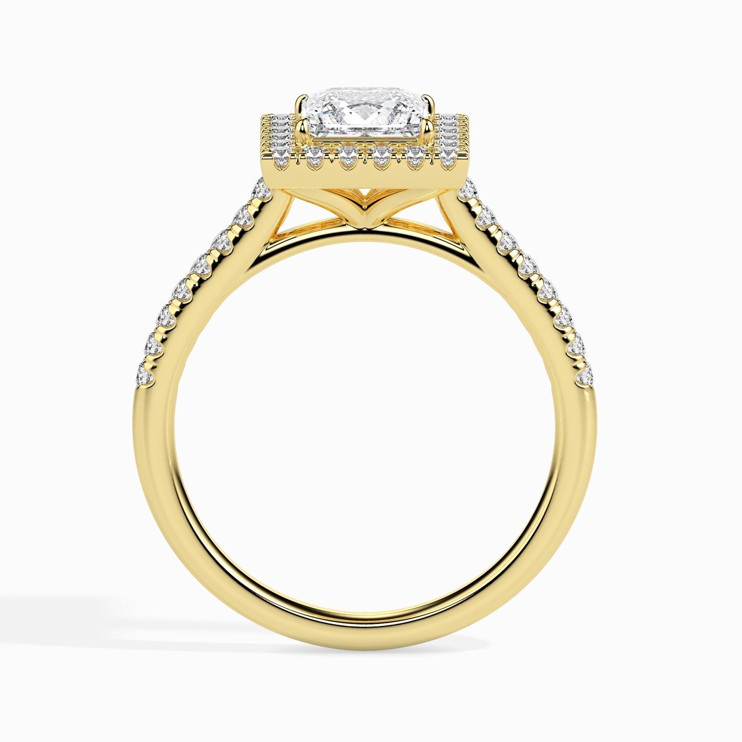 1.5ct Princess Halo Lab Diamond Brianna Ring